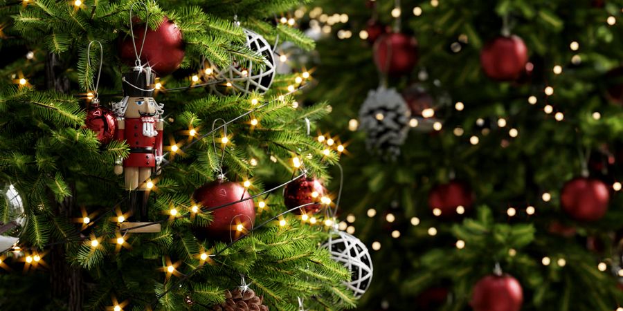 Juletræsindsamling 2026